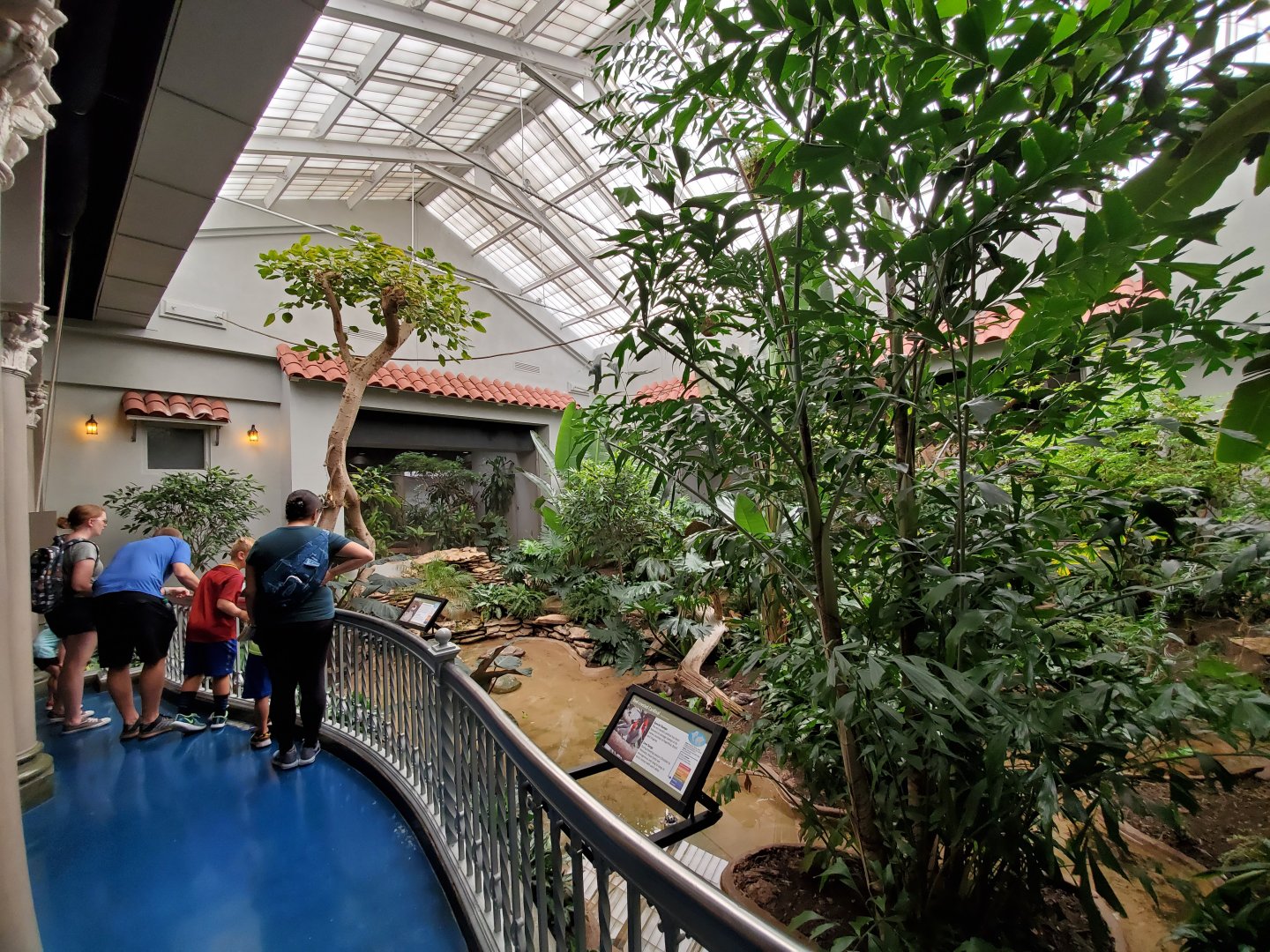 Aug. 2019 - 1930 Bird House - Center Exhibit (5 Species)