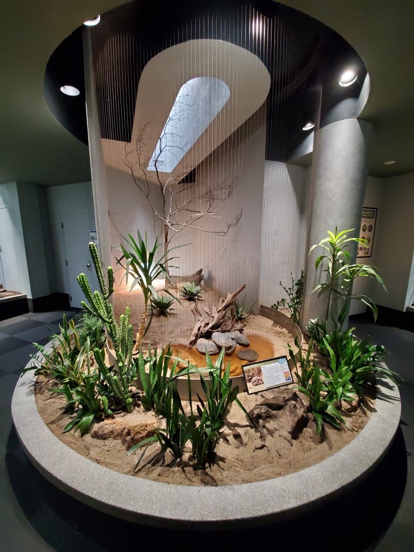 Aug. 2019 - 1930 Bird House - Gopher Tortoise Exhibit