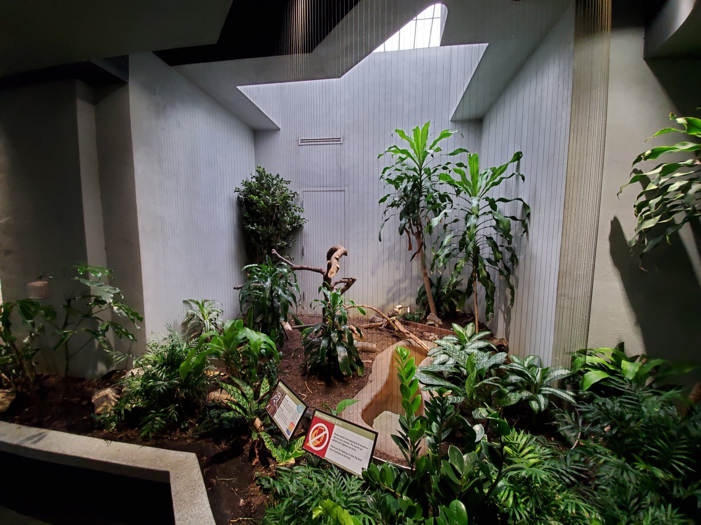 Aug. 2019 - 1930 Bird House - Laughing Kookaburra Exhibit