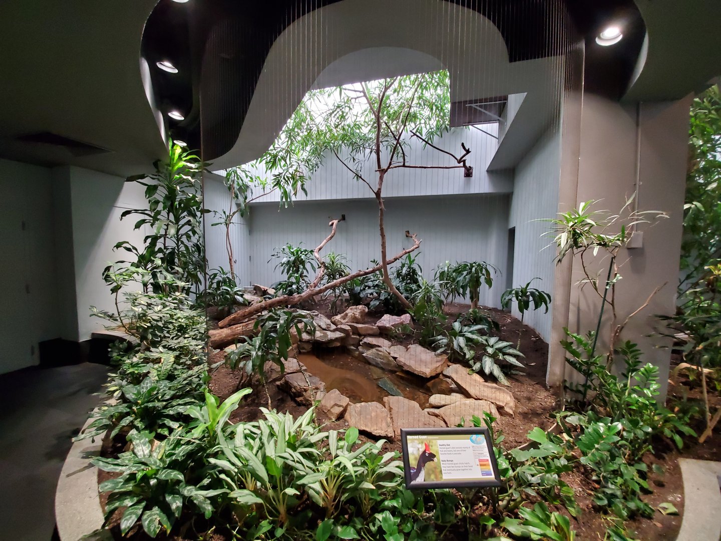 Aug. 2019 - 1930 Bird House - One of Many Horned Guan Exhibits