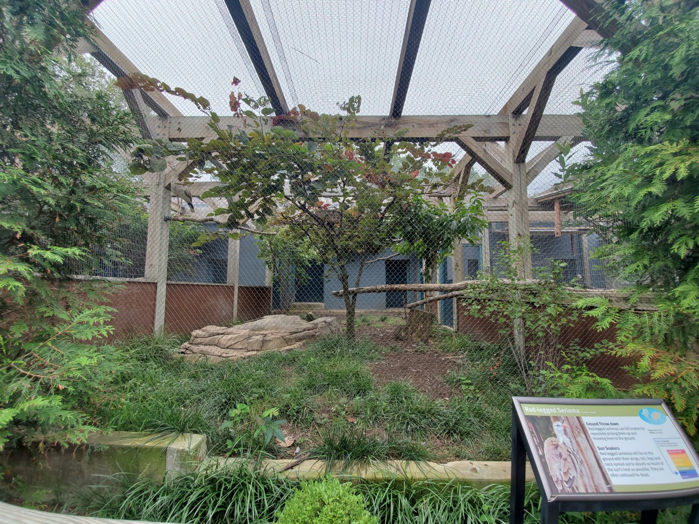 Aug. 2019 - 1930 Bird House - Red-legged Seriema Exhibit