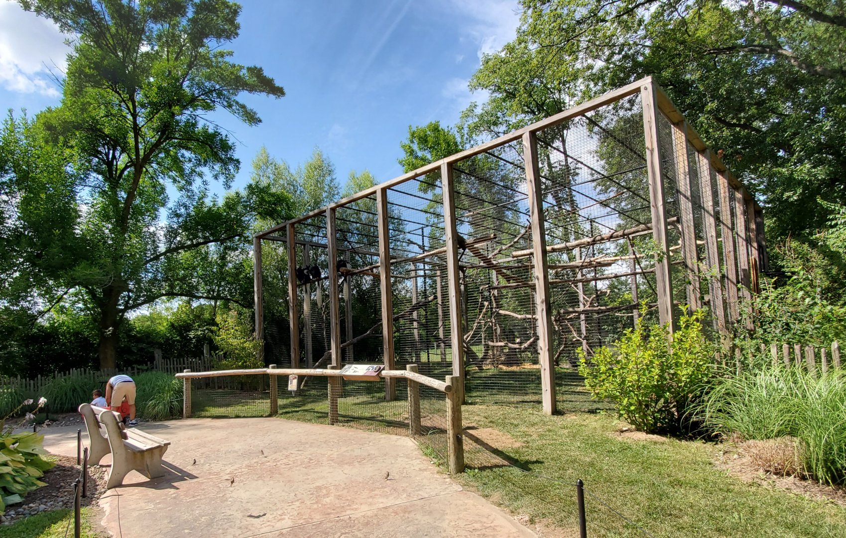Aug. 2019 - African Journey - Colobus/Allen's Swamp Monkey Exhibit