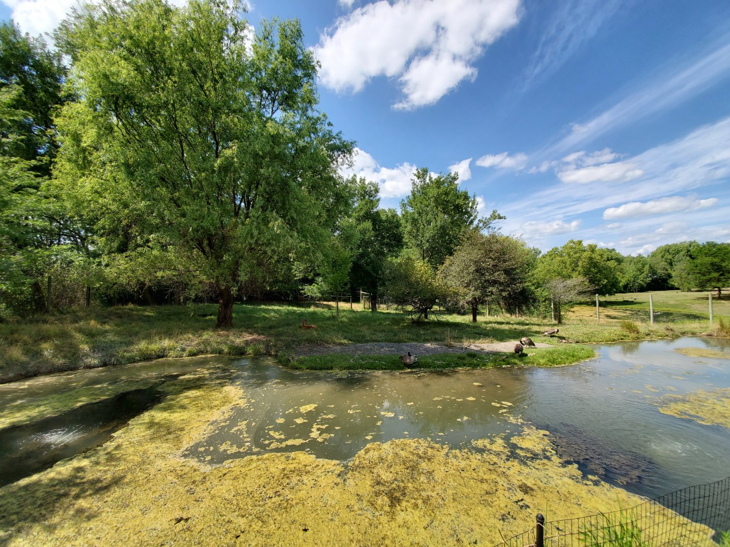 Aug. 2019 - African Journey - Sitatunga Exhibit