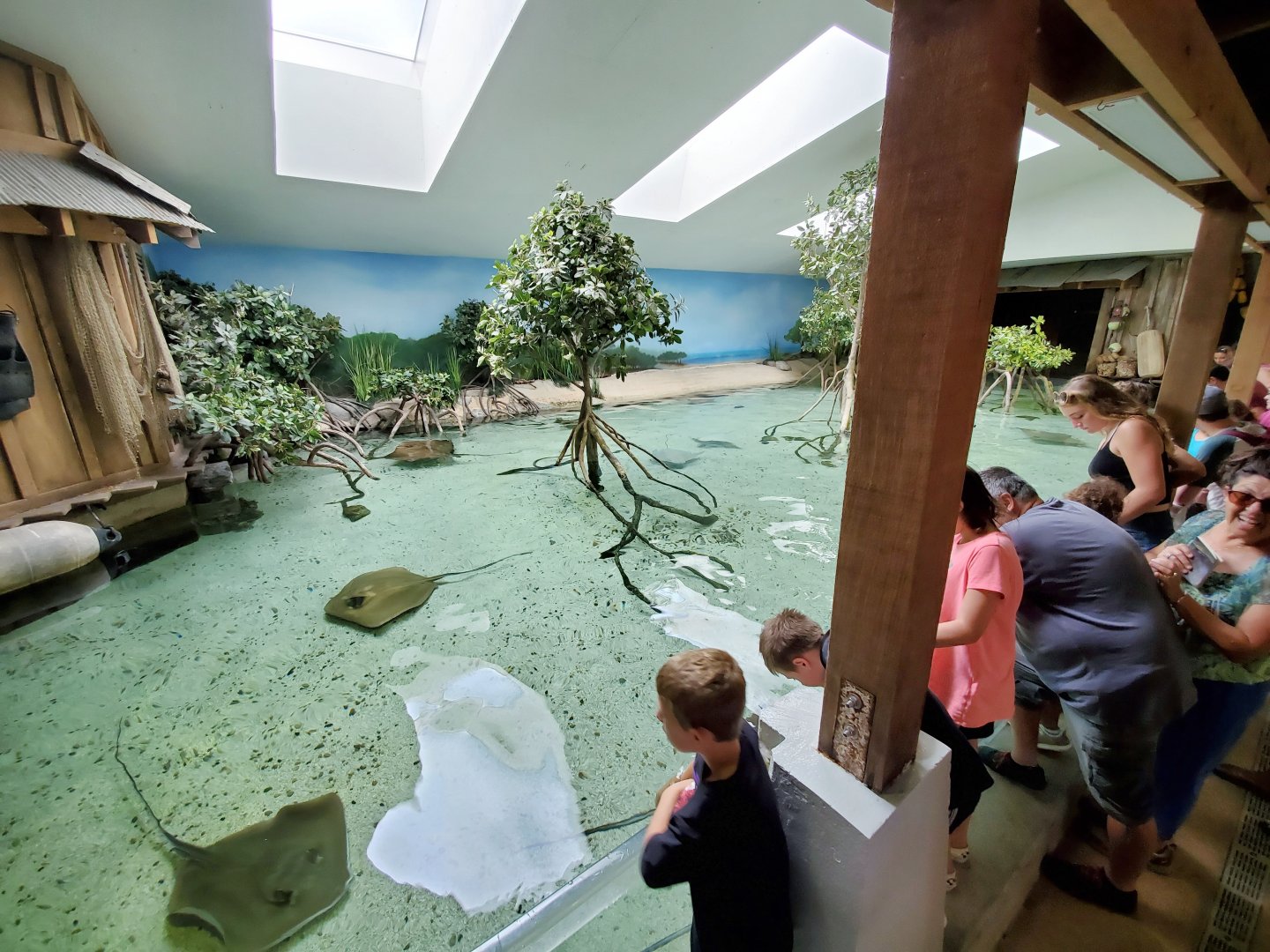 Aug. 2019 - Australian Adventure - Stingray Bay