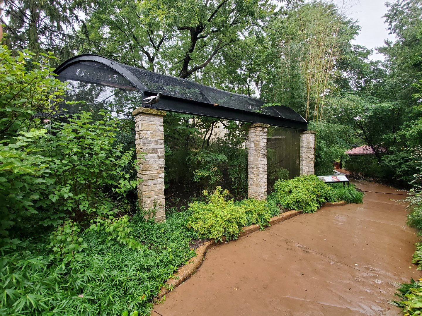 Aug. 2019 - Bird Garden - Laughing Kookaburra Exhibit