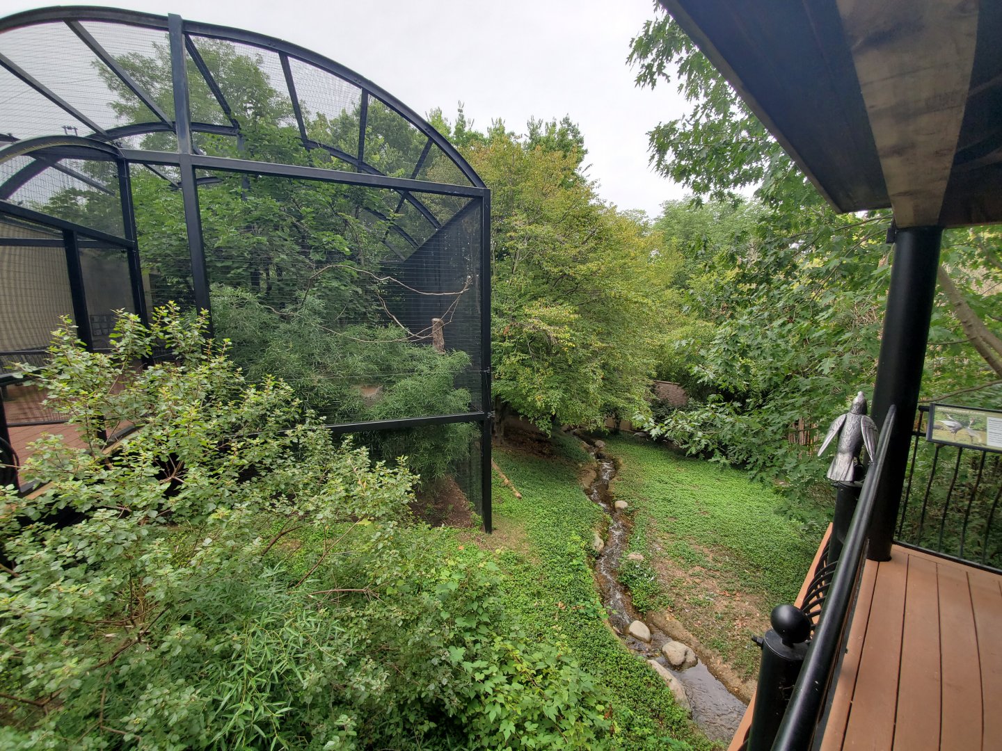Aug. 2019 - Bird Garden - White-naped Crane + Walkthrough Aviary