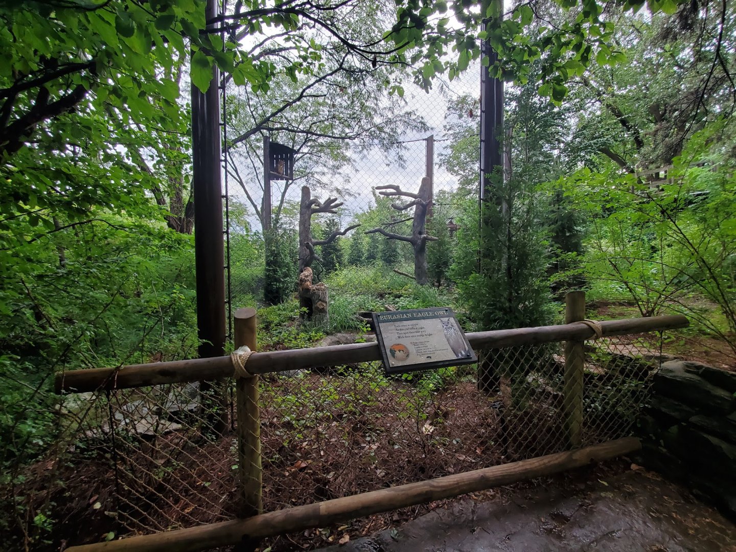 Aug. 2019 - Cat Canyon - New! Eurasian Eagle Owl Exhibit Viewing