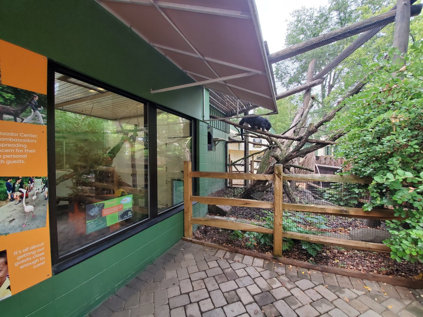 Aug. 2019 - Children's Zoo - Animal Ambassador Center - Indoor & Outdoor Bearcat Exhibits