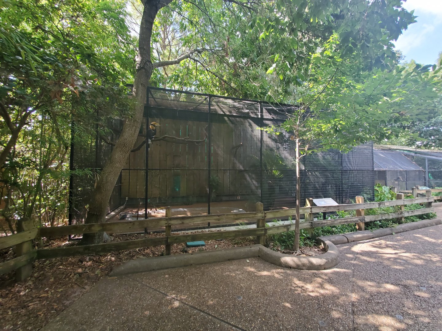 Aug. 2019 - Fischer Bird Garden - Great Indian Hornbill Exhibit