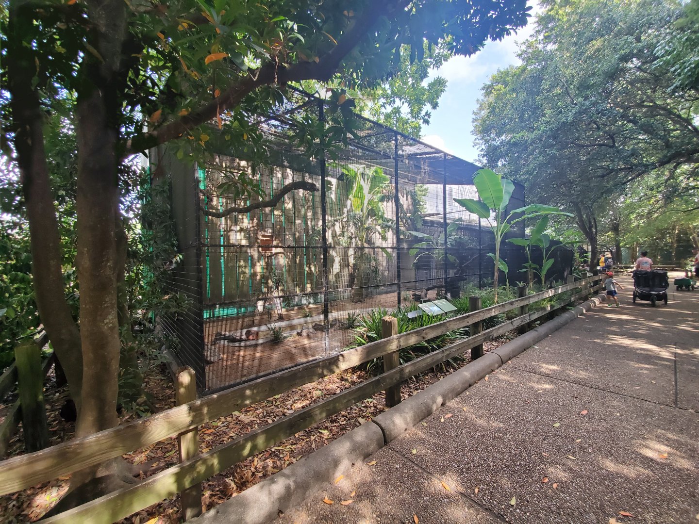 Aug. 2019 - Fischer Bird Garden - King Vulture Exhibit