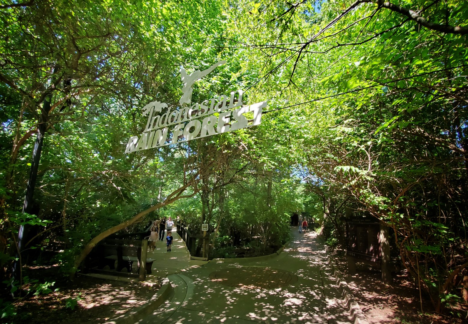 Aug. 2019 - Indonesian Rain Forest Entrance