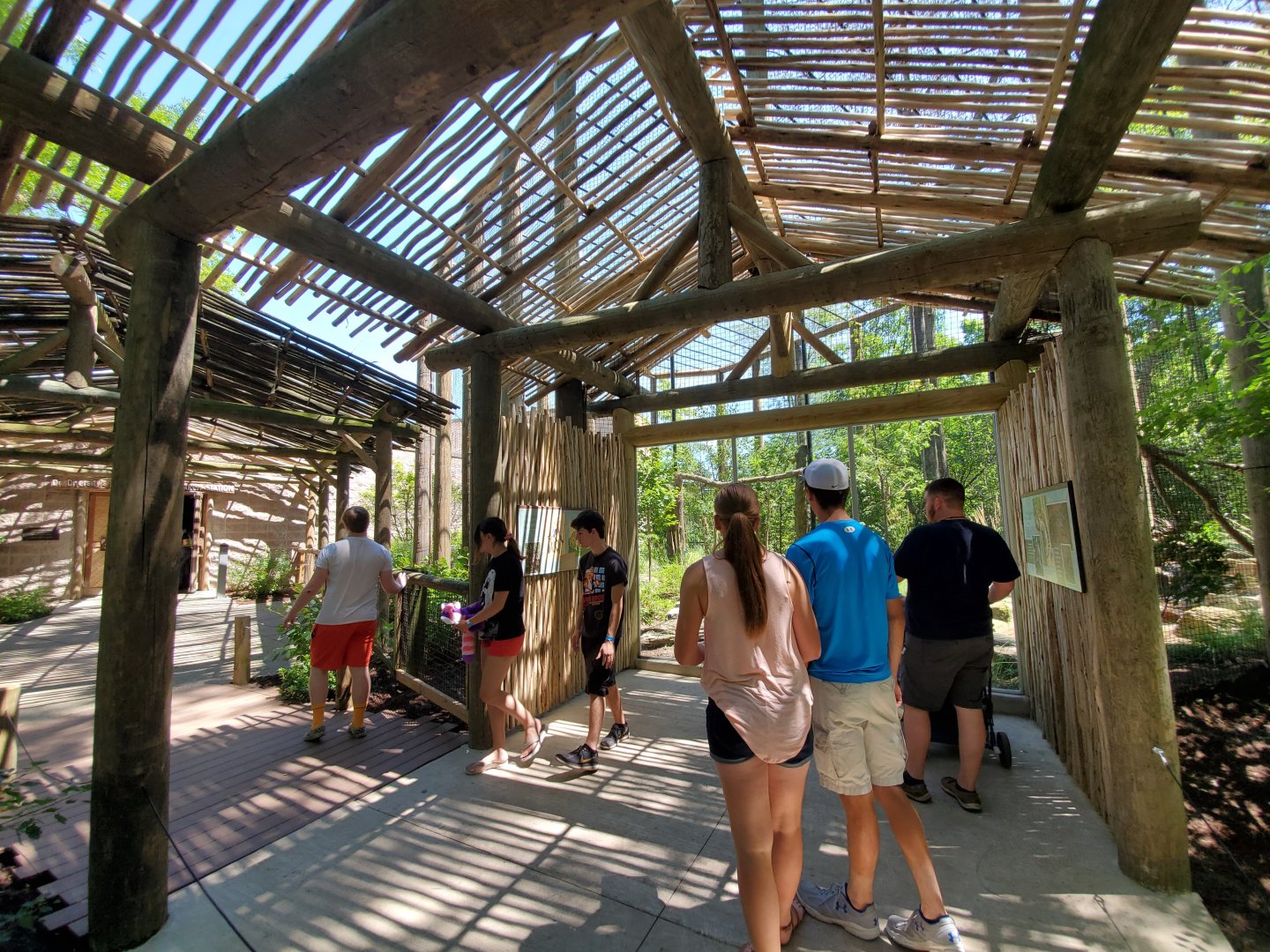 Aug. 2019 - Indonesian Rain Forest - New! Clouded Leopard Exhibit Viewing