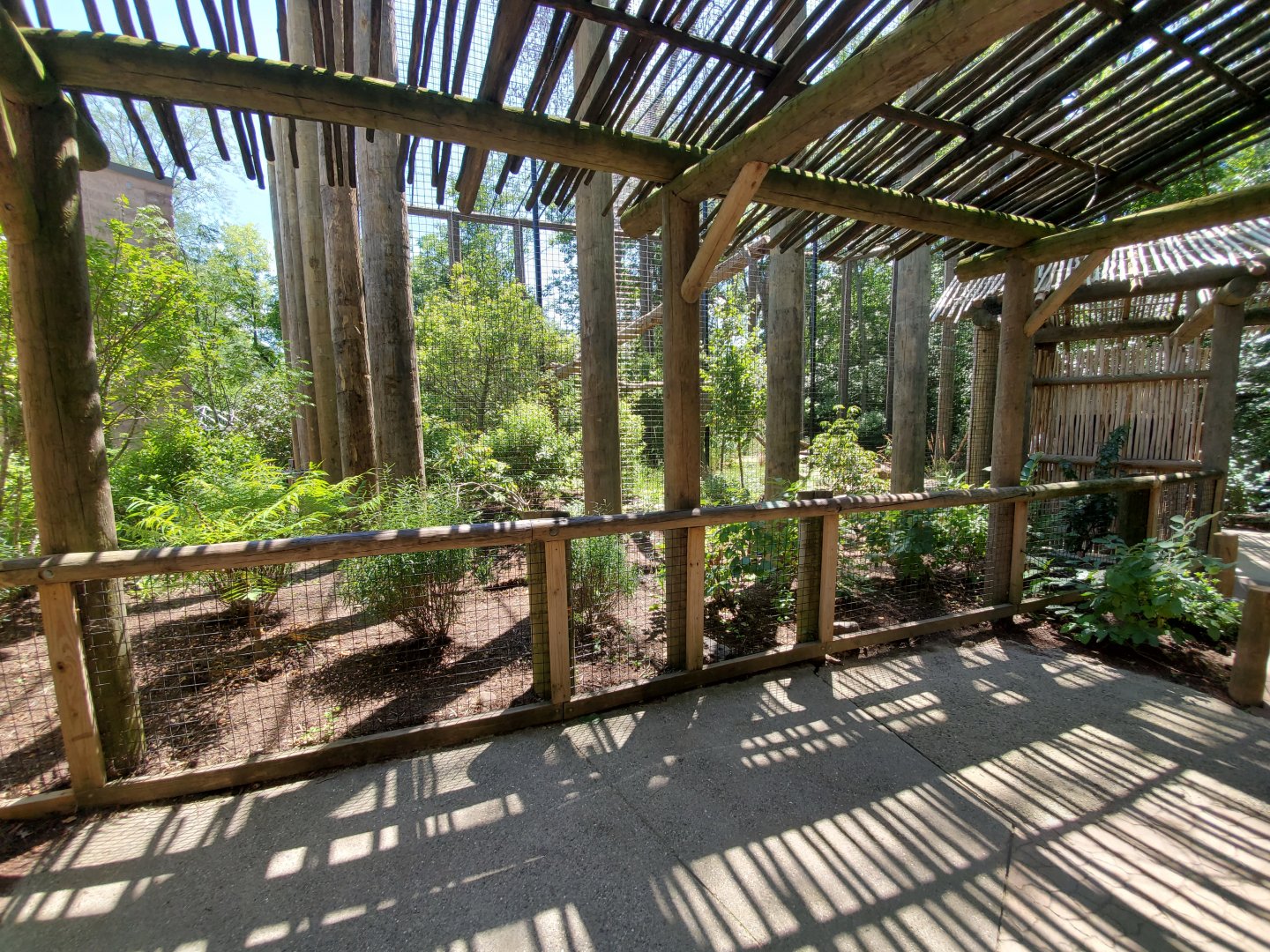 Aug. 2019 - Indonesian Rain Forest - New! Clouded Leopard Exhibit