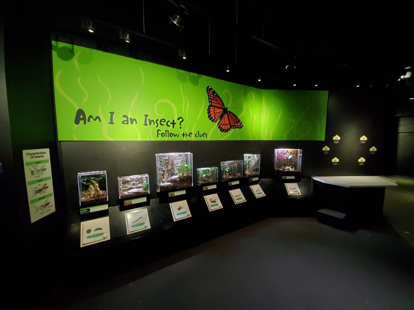 Aug. 2019 - Insectarium - Am I An Insect? Section