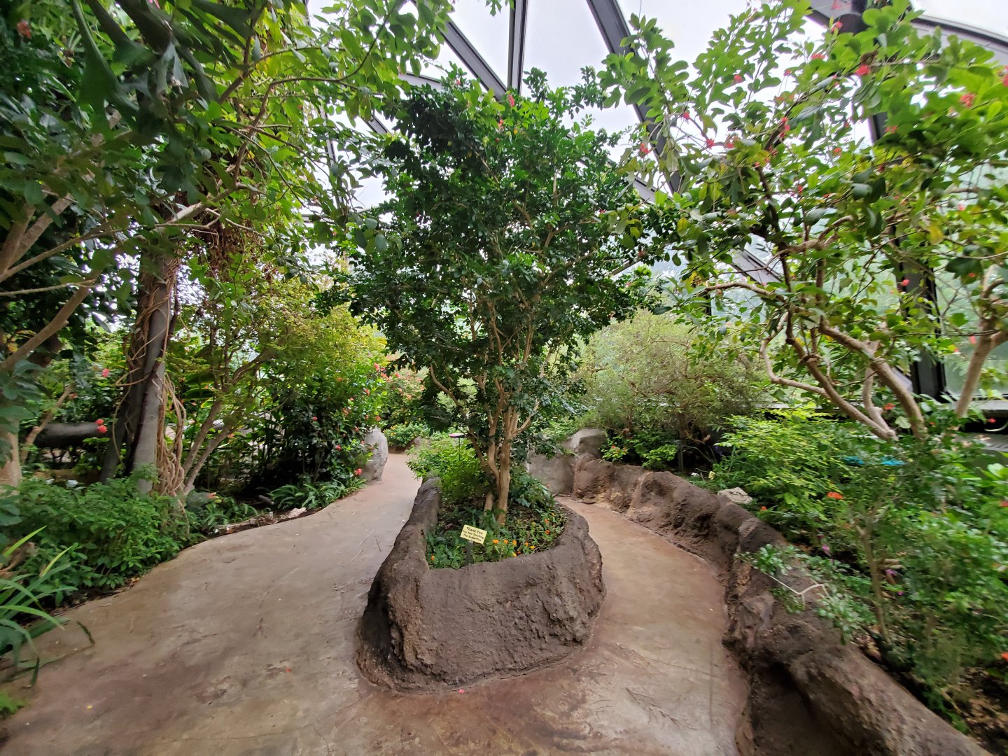 Aug. 2019 - Insectarium - Butterfly Dome