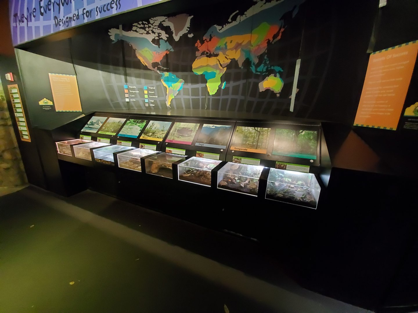 Aug. 2019 - Insectarium - Designed for Success Section