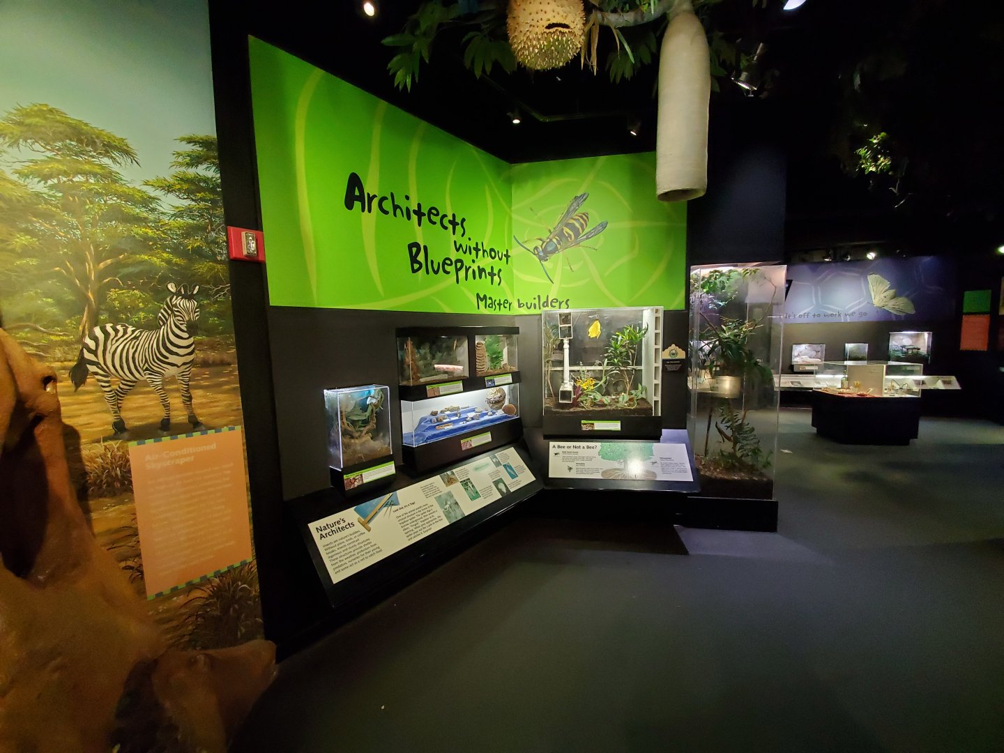 Aug. 2019 - Insectarium - Master Builders Section
