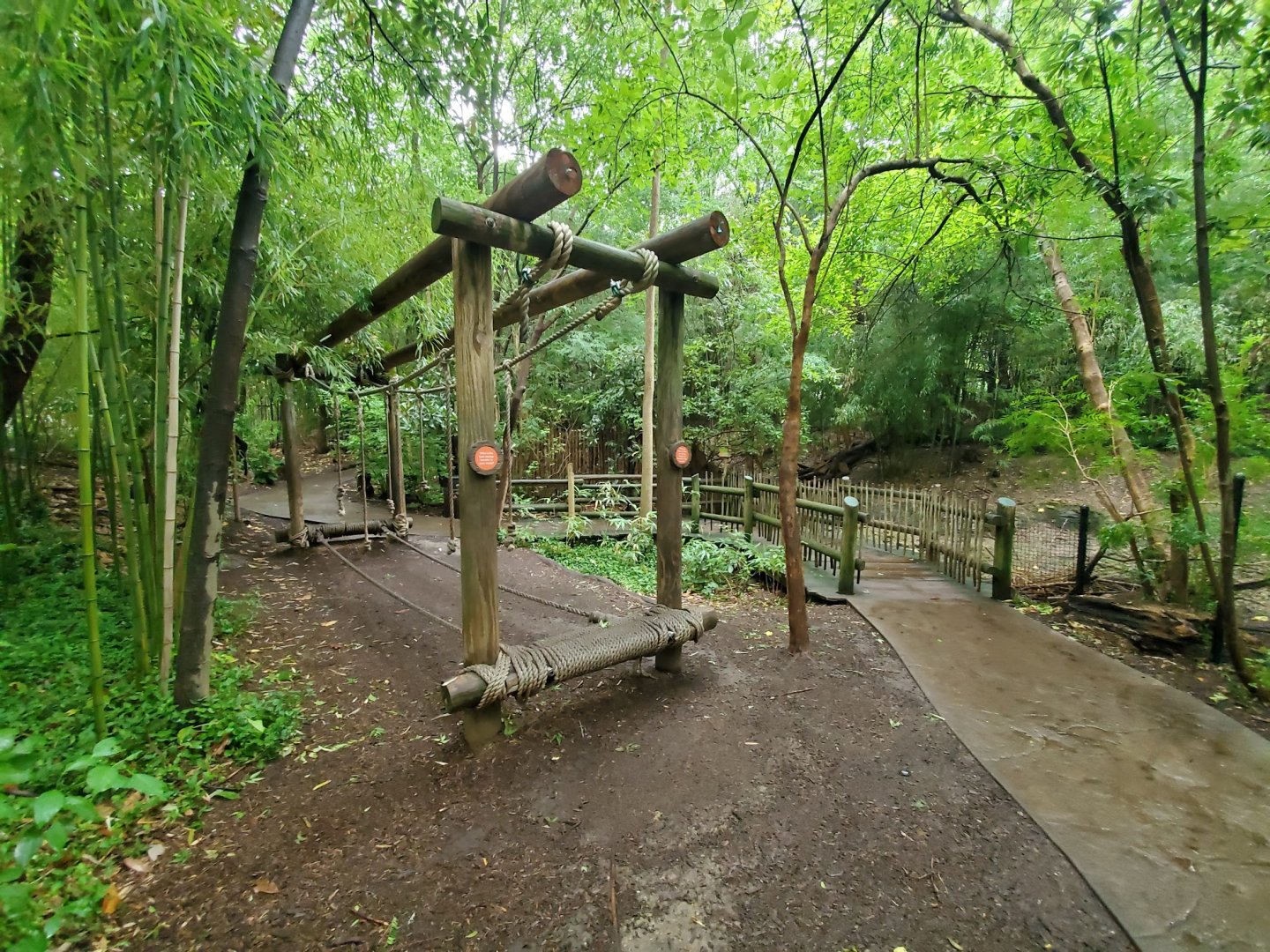 Aug. 2019 - Jungle Trails - Walk Like a Lemur Game