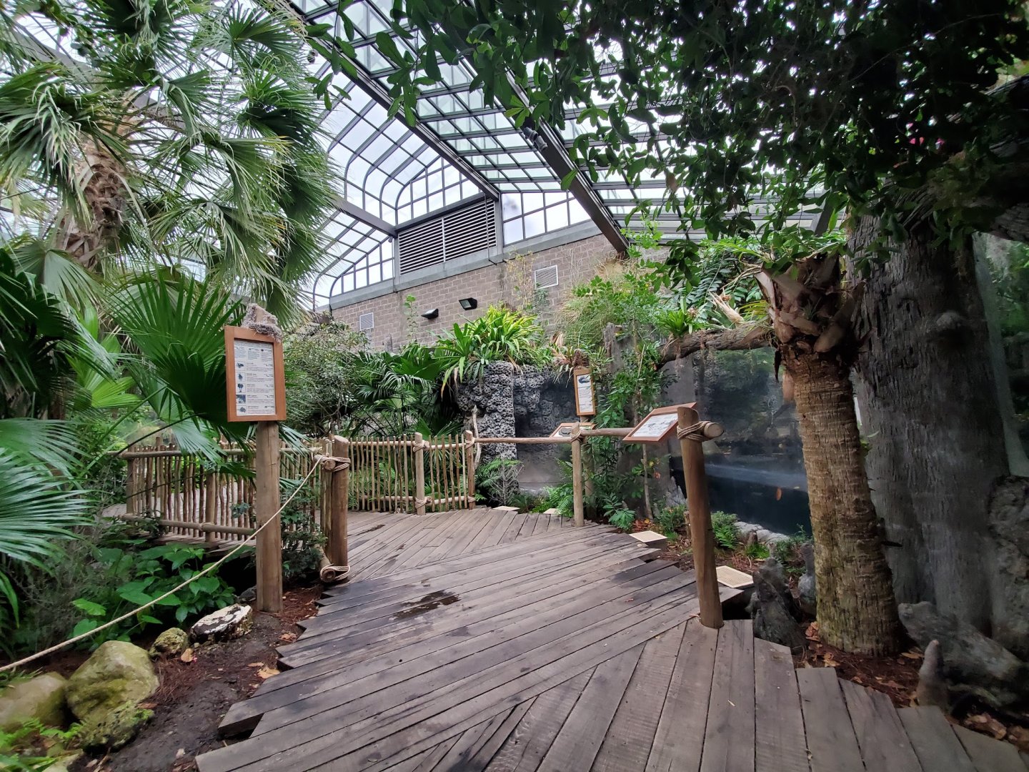 Aug. 2019 - Manatee Springs - Green House (2 Species)