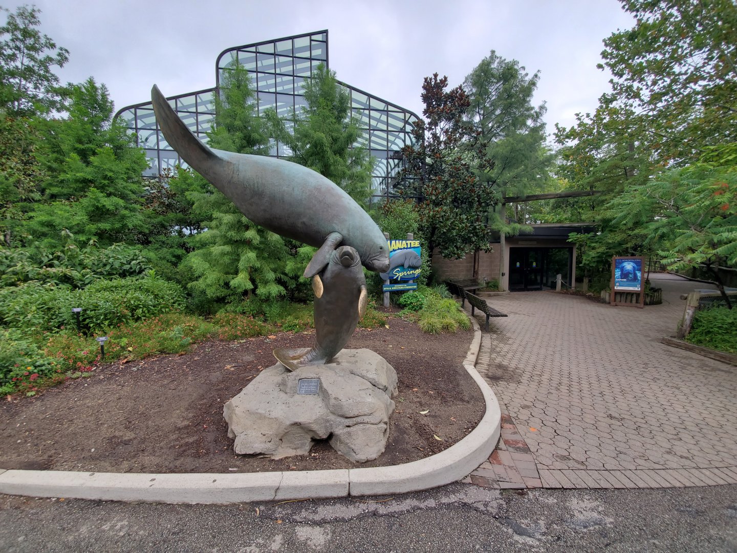 Aug. 2019 - Manatee Springs