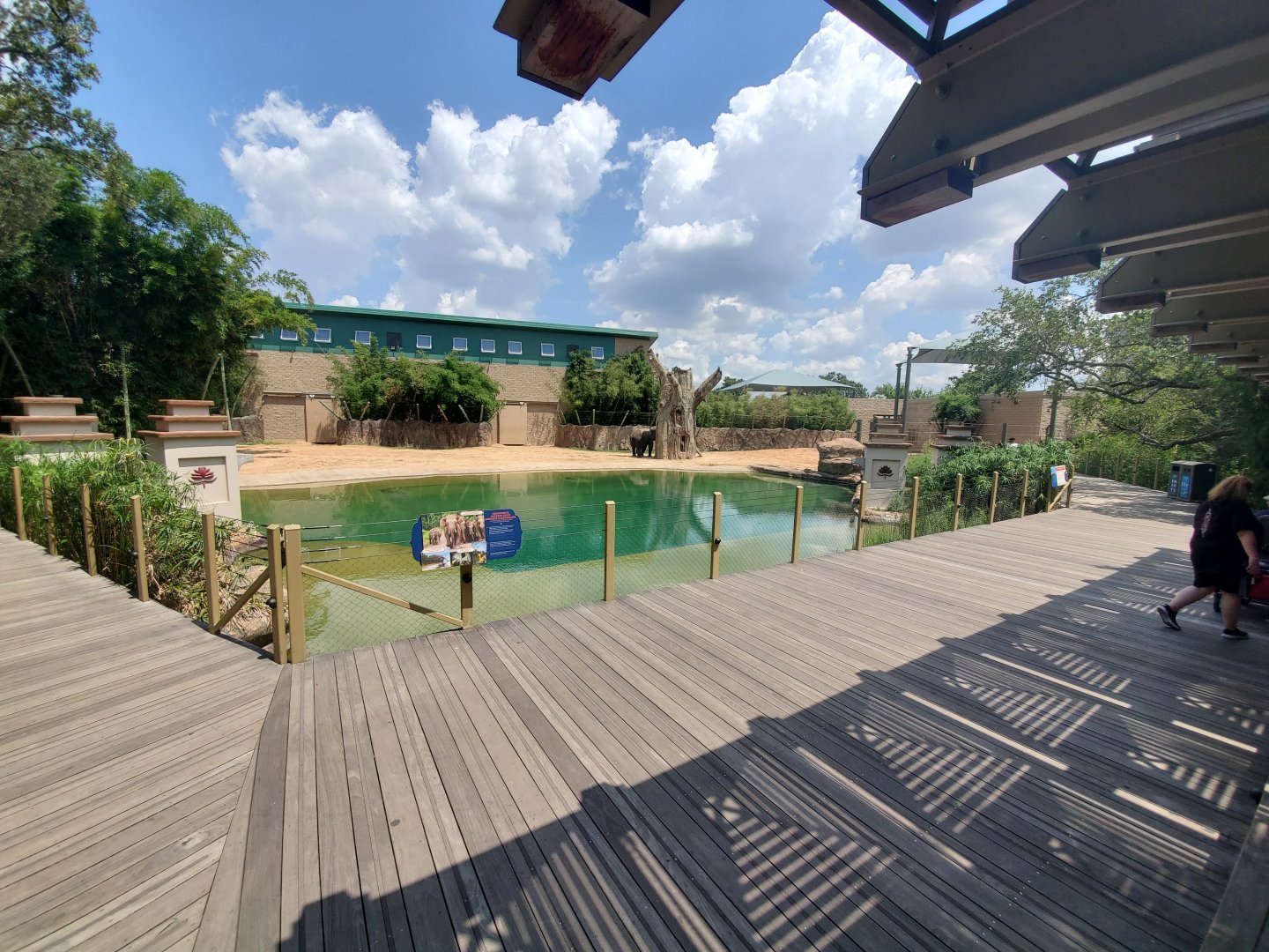 Aug. 2019 - McNair Elephant Habitat - Bachelor Yard Pool