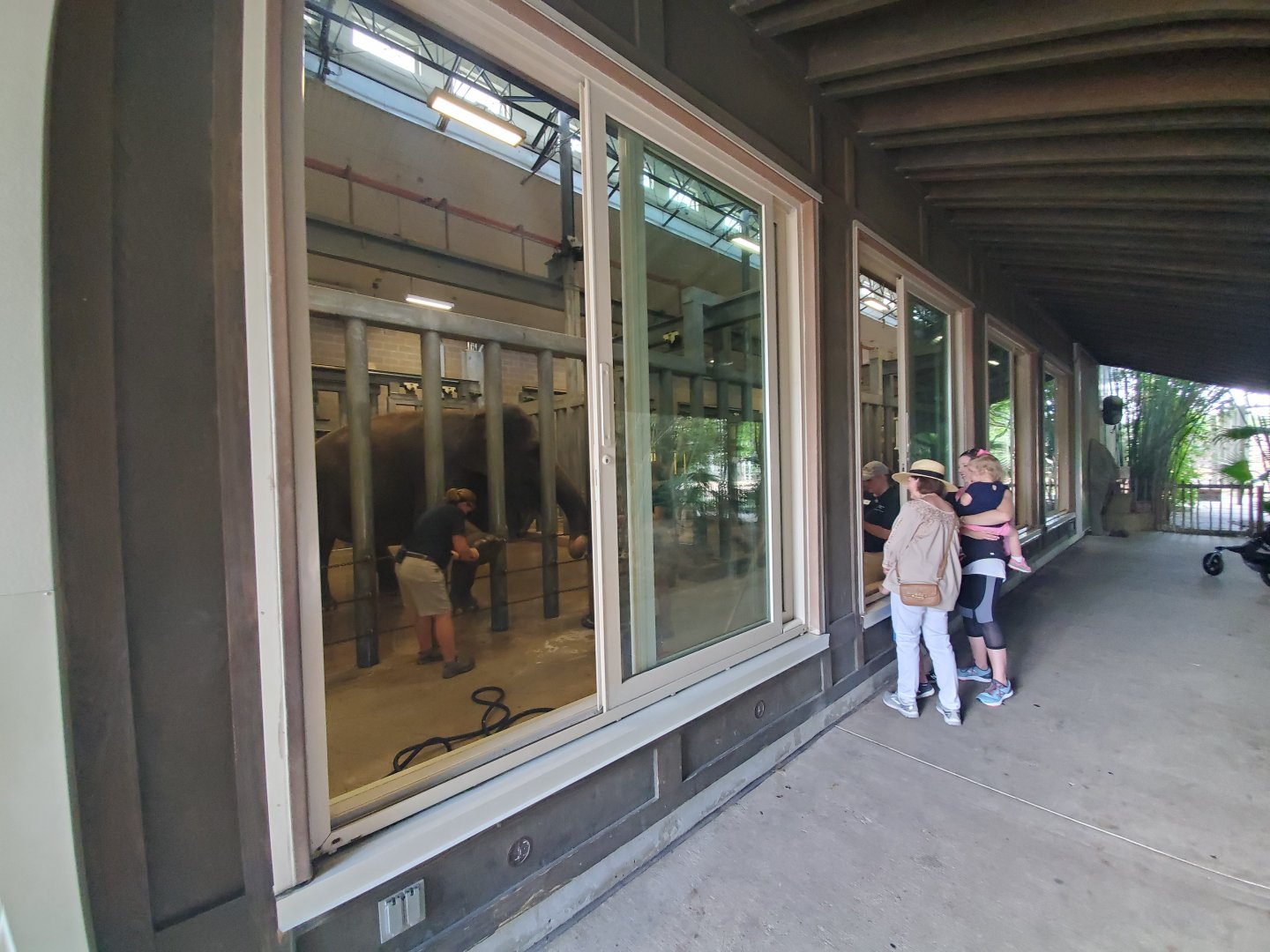 Aug. 2019 - McNair Elephant Habitat - Indoor Stalls (Windows Open)