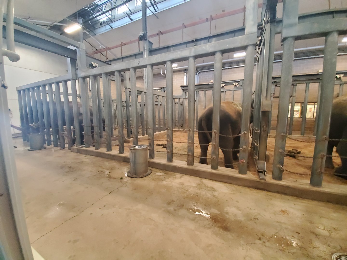 Aug. 2019 - McNair Elephant Habitat - Indoor Stalls