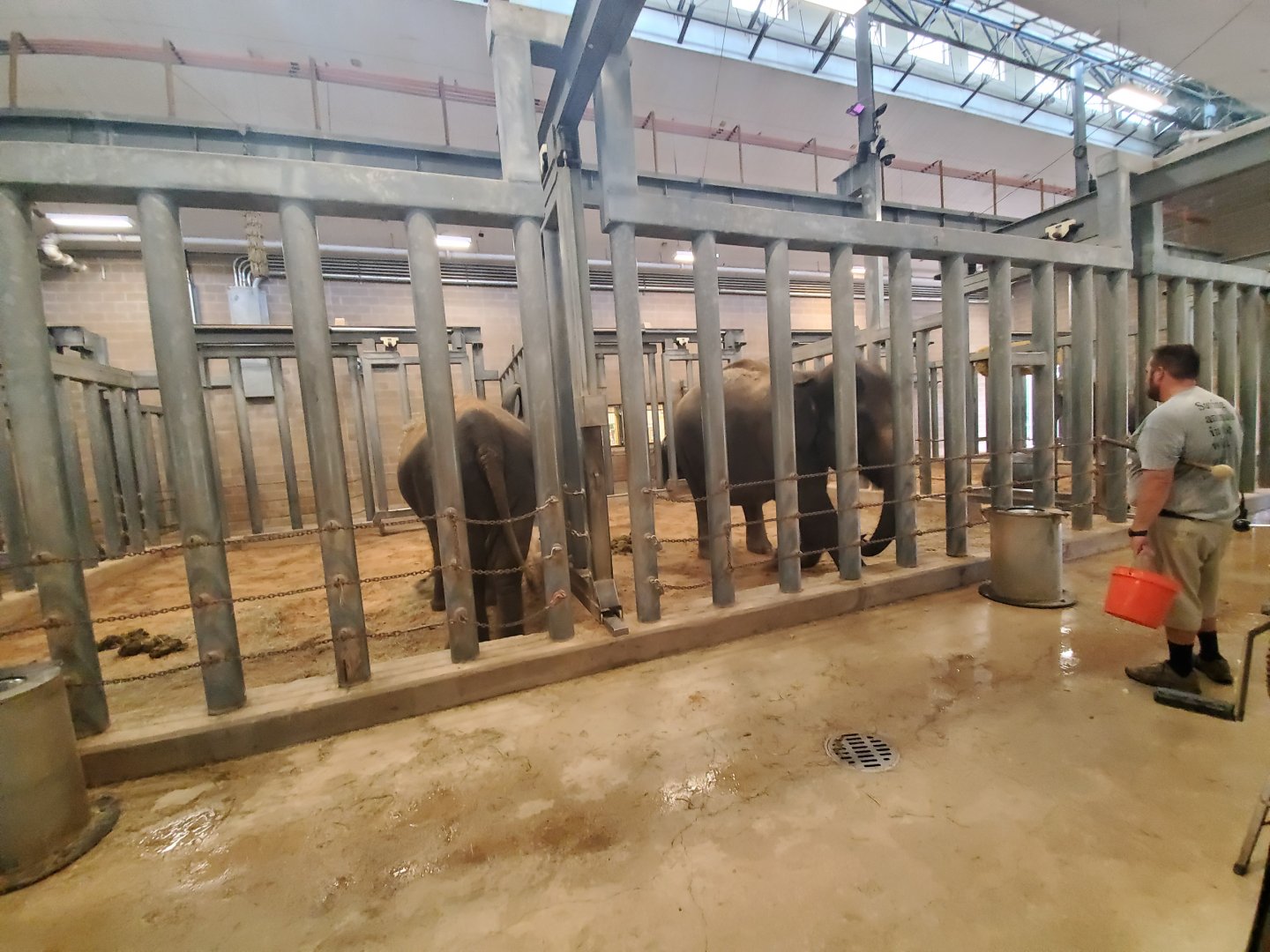 Aug. 2019 - McNair Elephant Habitat - Indoor Stalls