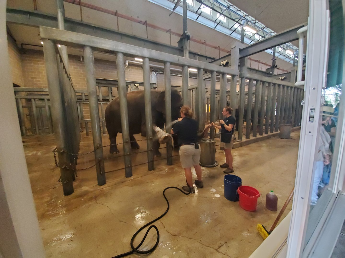 Aug. 2019 - McNair Elephant Habitat - Indoor Stalls