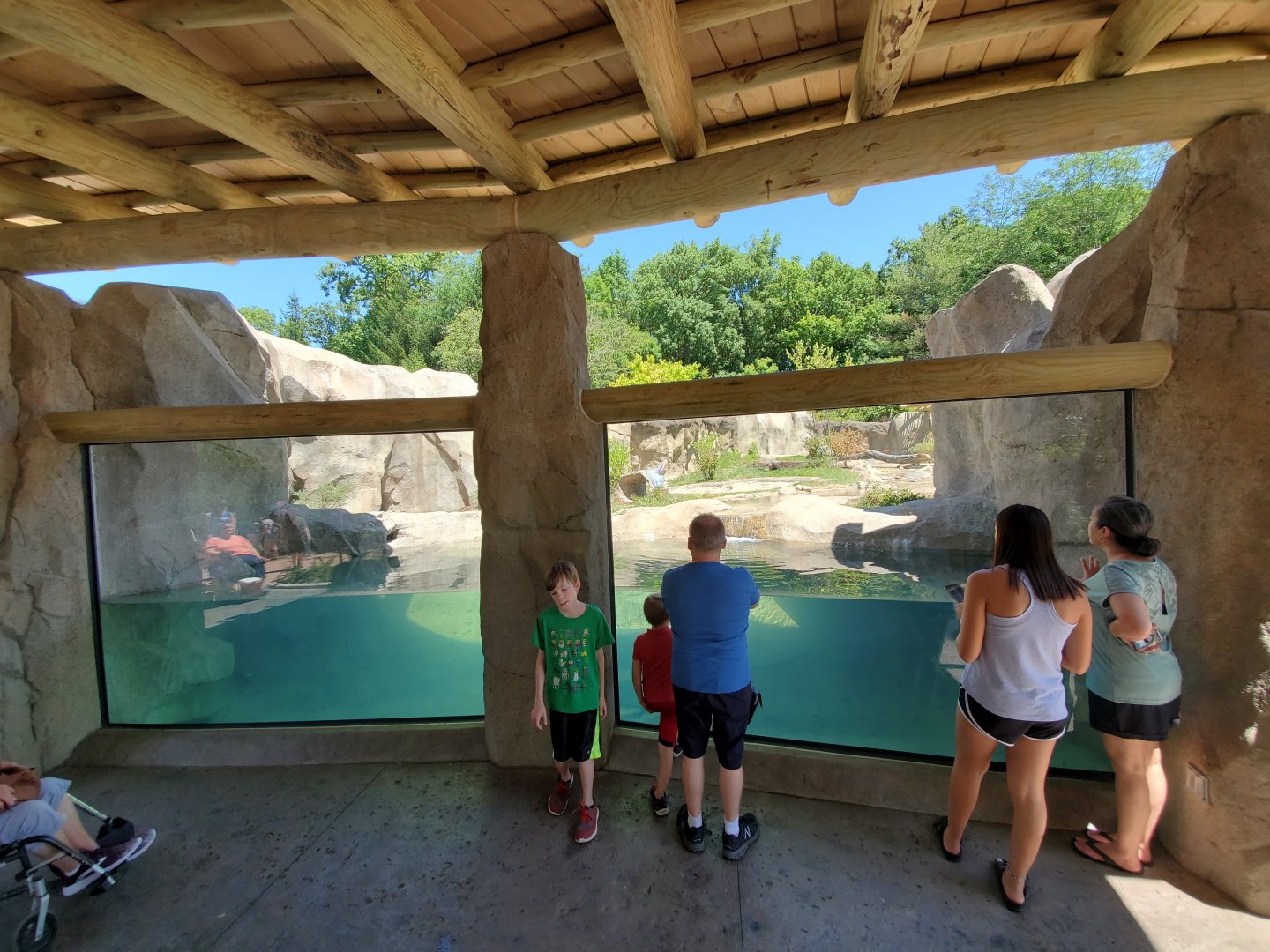 Aug. 2019 - New! River Otter Exhibit