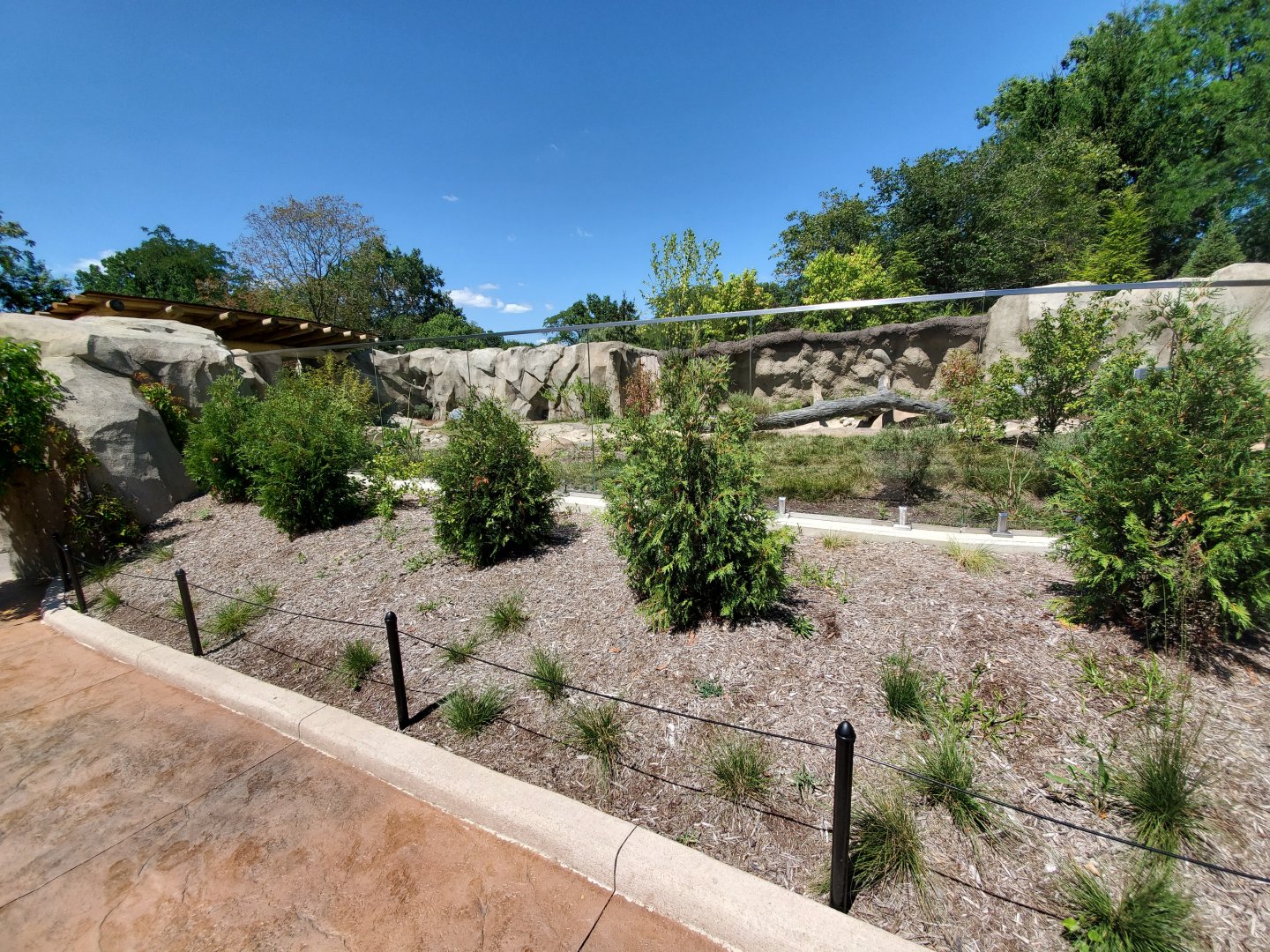 Aug. 2019 - New! River Otter Exhibit