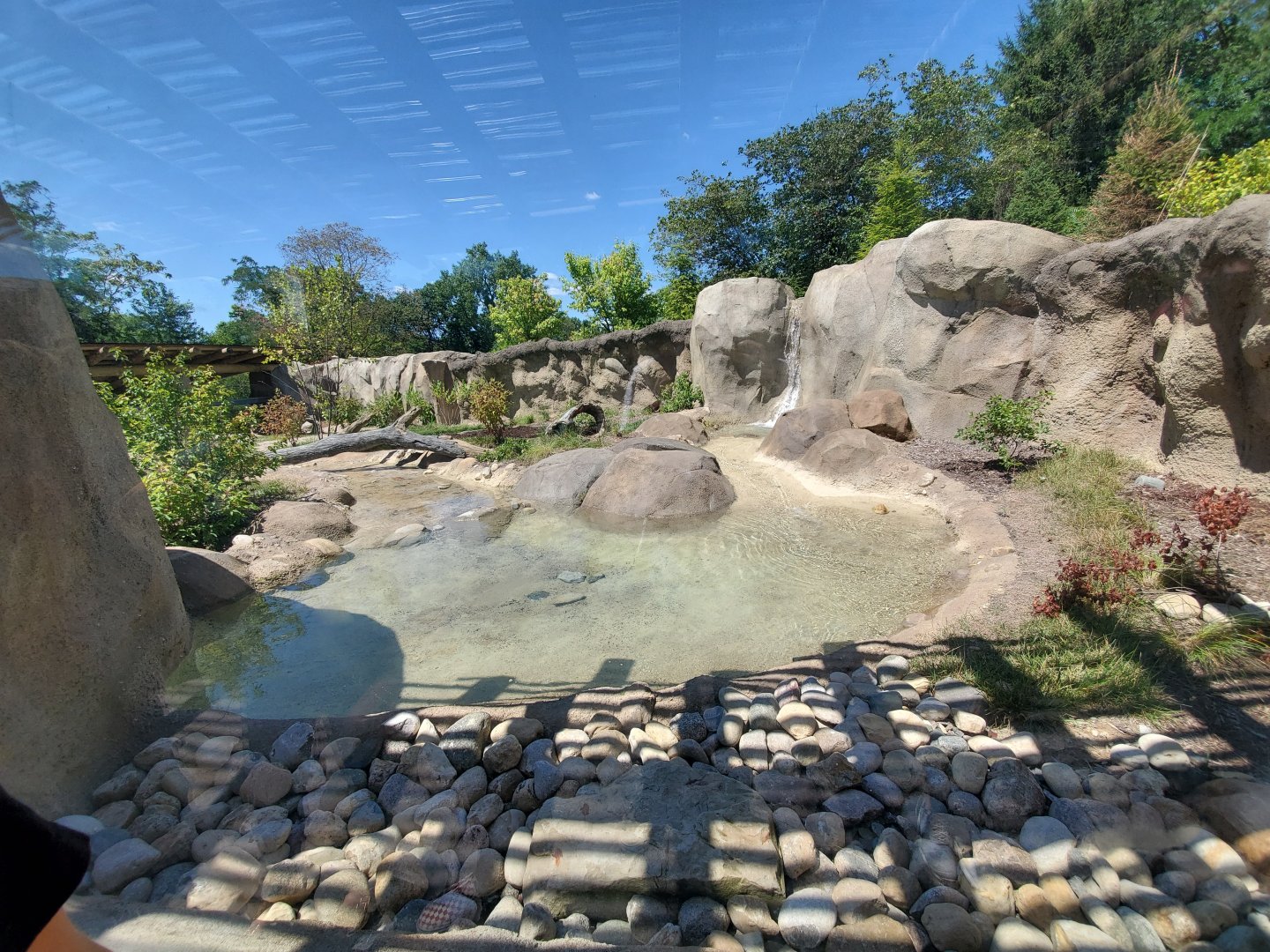 Aug. 2019 - New! River Otter Exhibit