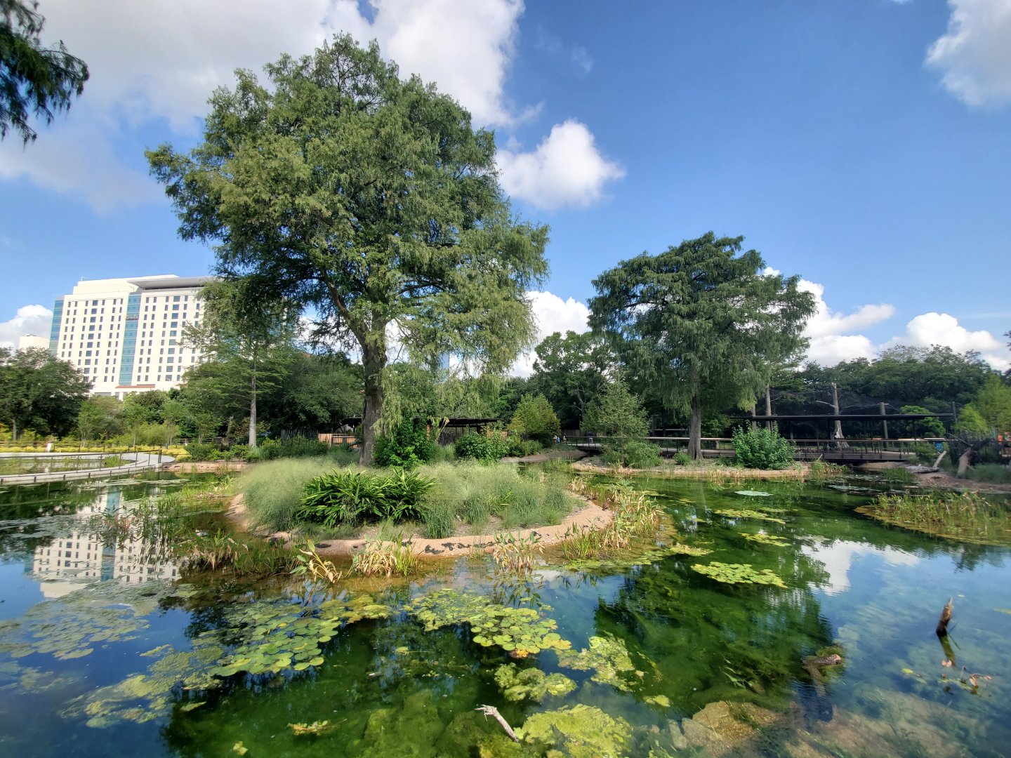 Aug. 2019 - New! Texas Wetlands - Alligator Gar Pond