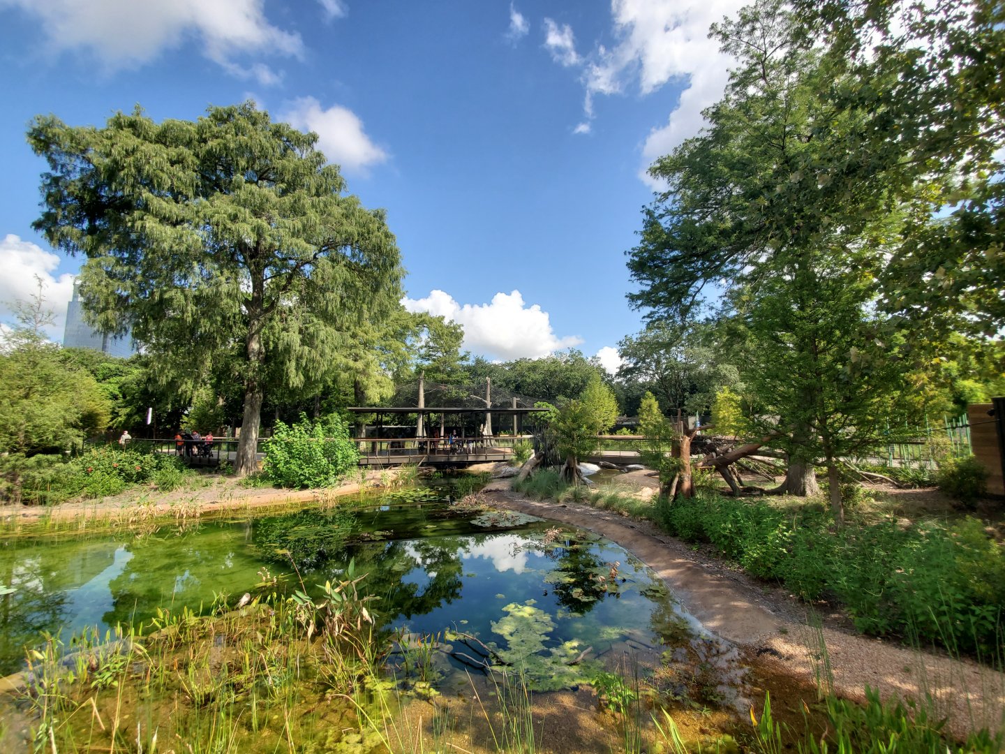 Aug. 2019 - New! Texas Wetlands - Alligator Gar Pond