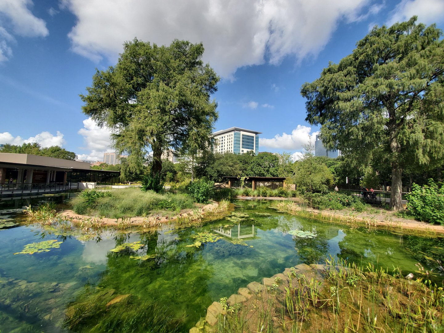 Aug. 2019 - New! Texas Wetlands - Alligator Gar Pond