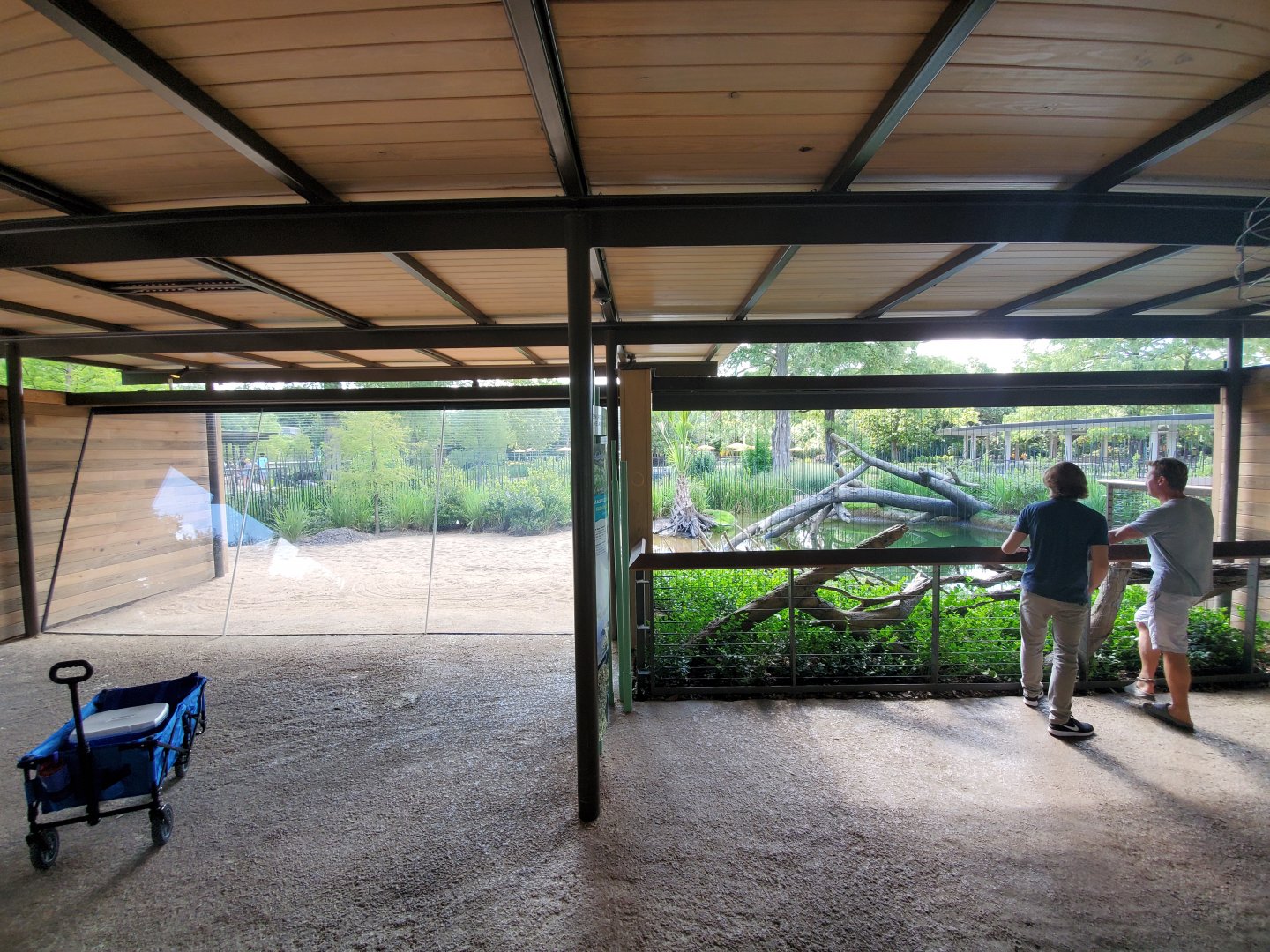 Aug. 2019 - New! Texas Wetlands - American Alligator Exhibit