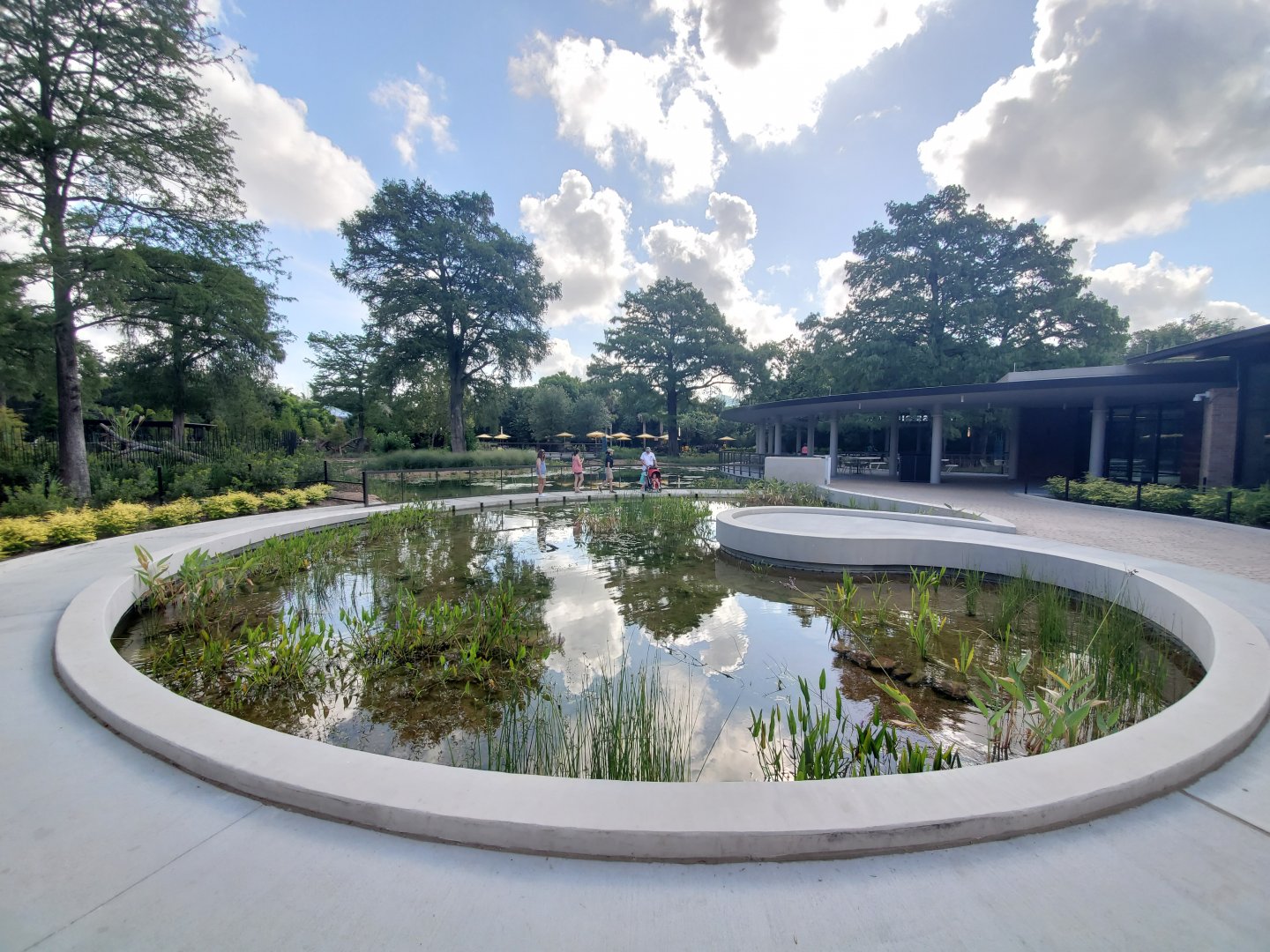 Aug. 2019 - New! Texas Wetlands