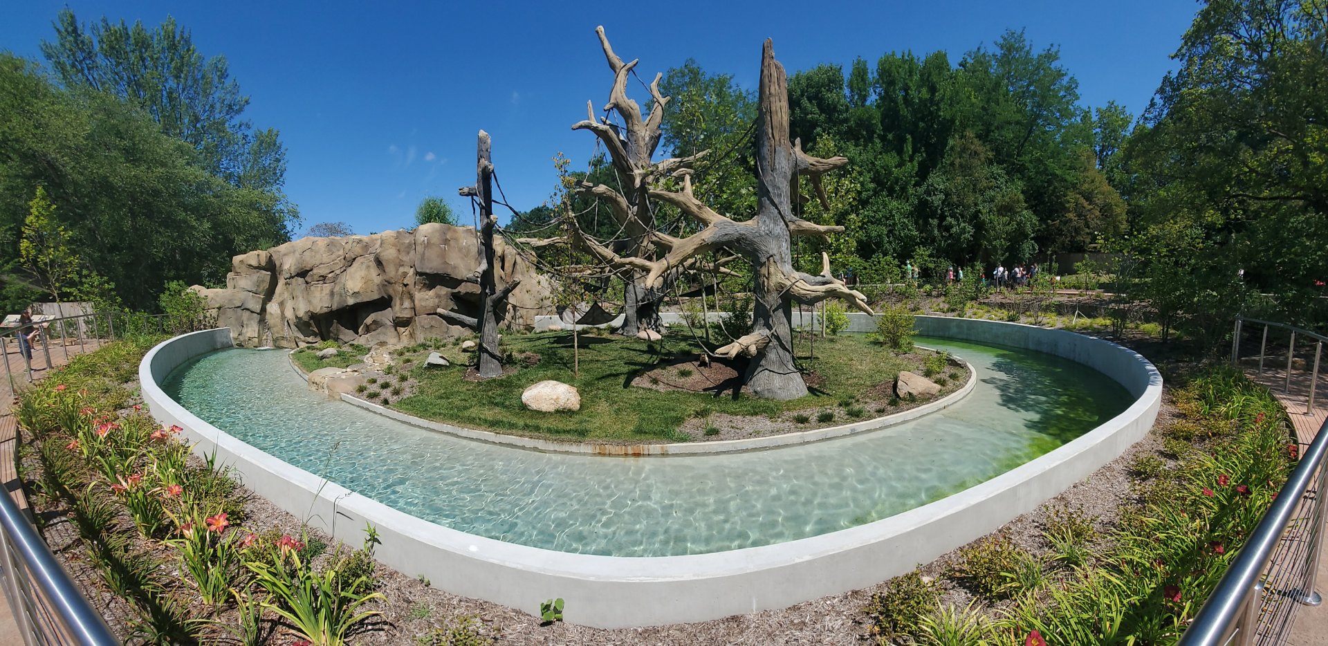 Aug. 2019 - Newly Renovated White-throated Capuchin Exhibit