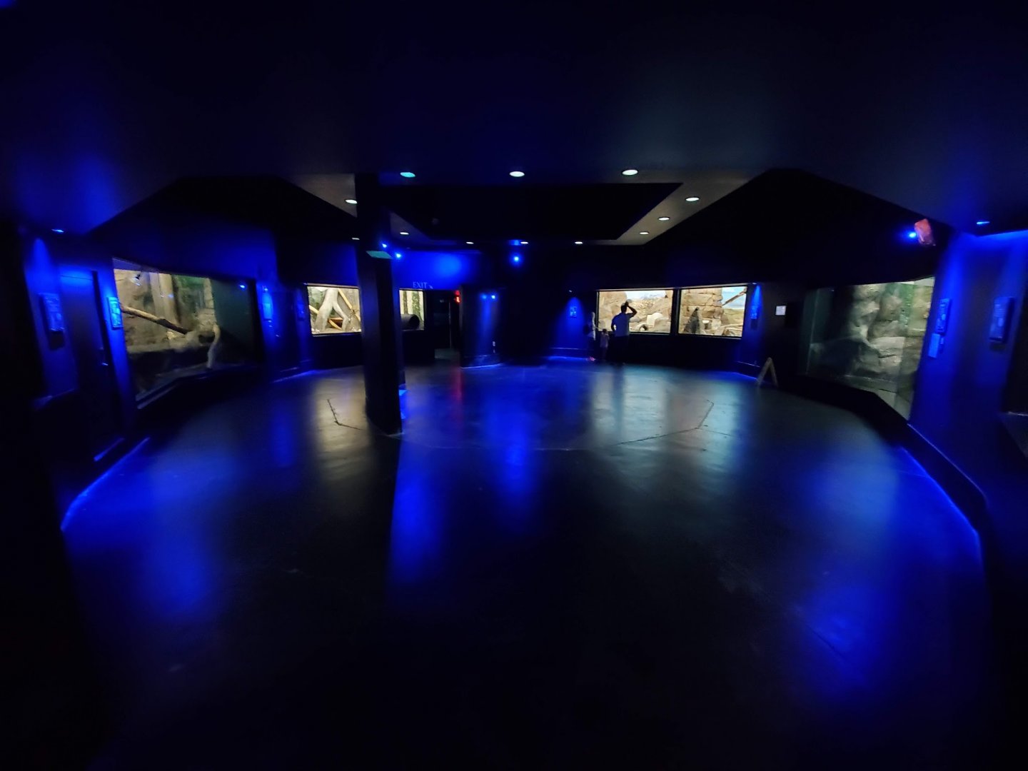 Aug. 2019 - Night Hunters Rotunda