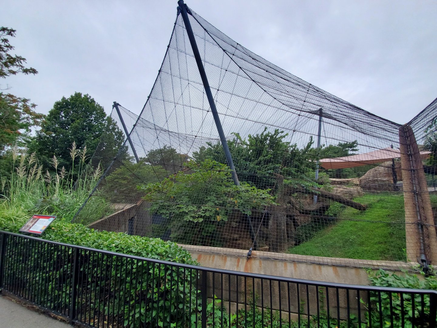 Aug. 2019 - Red Rocks - Big Cat Country - Serval Exhibit