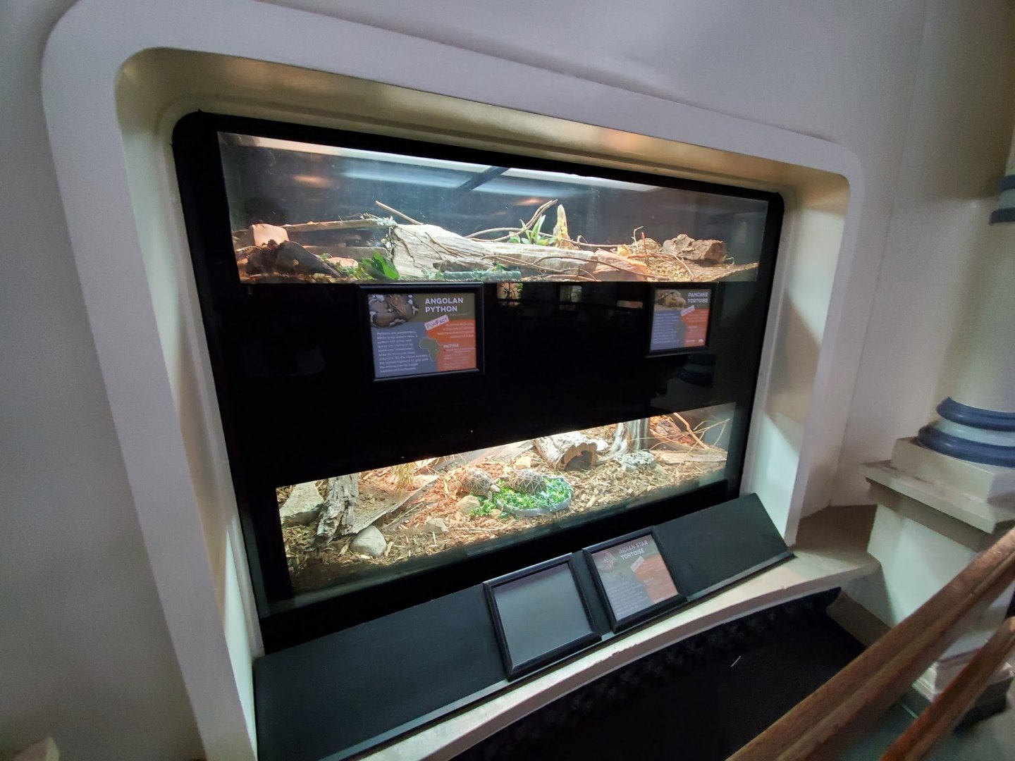 Aug. 2019 - Reptile House - Angolan Python/Pancake Tortoise + Indian Star Tortoise Exhibits