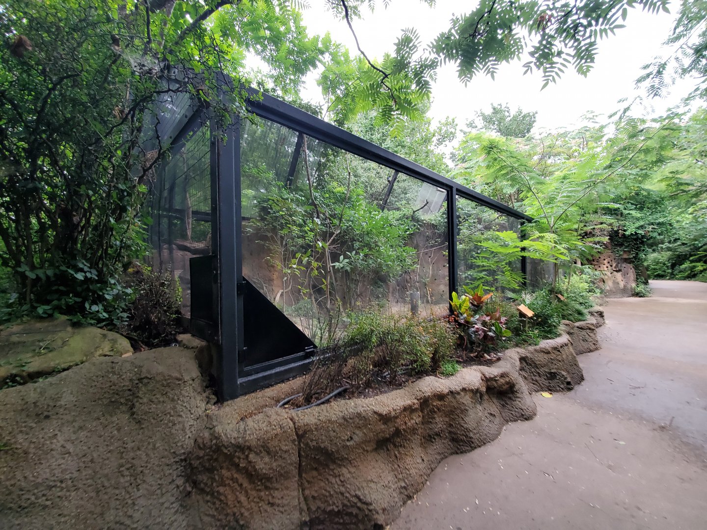 Aug. 2019 - River's Edge - Africa Aviary (4 Species)