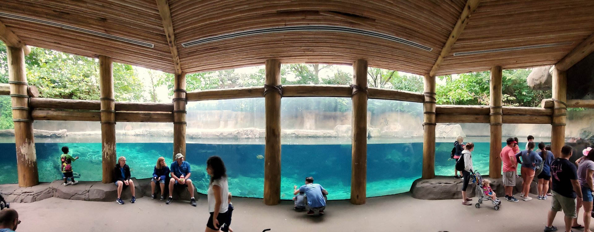 Aug. 2019 - River's Edge - Africa - Hippo Harbor