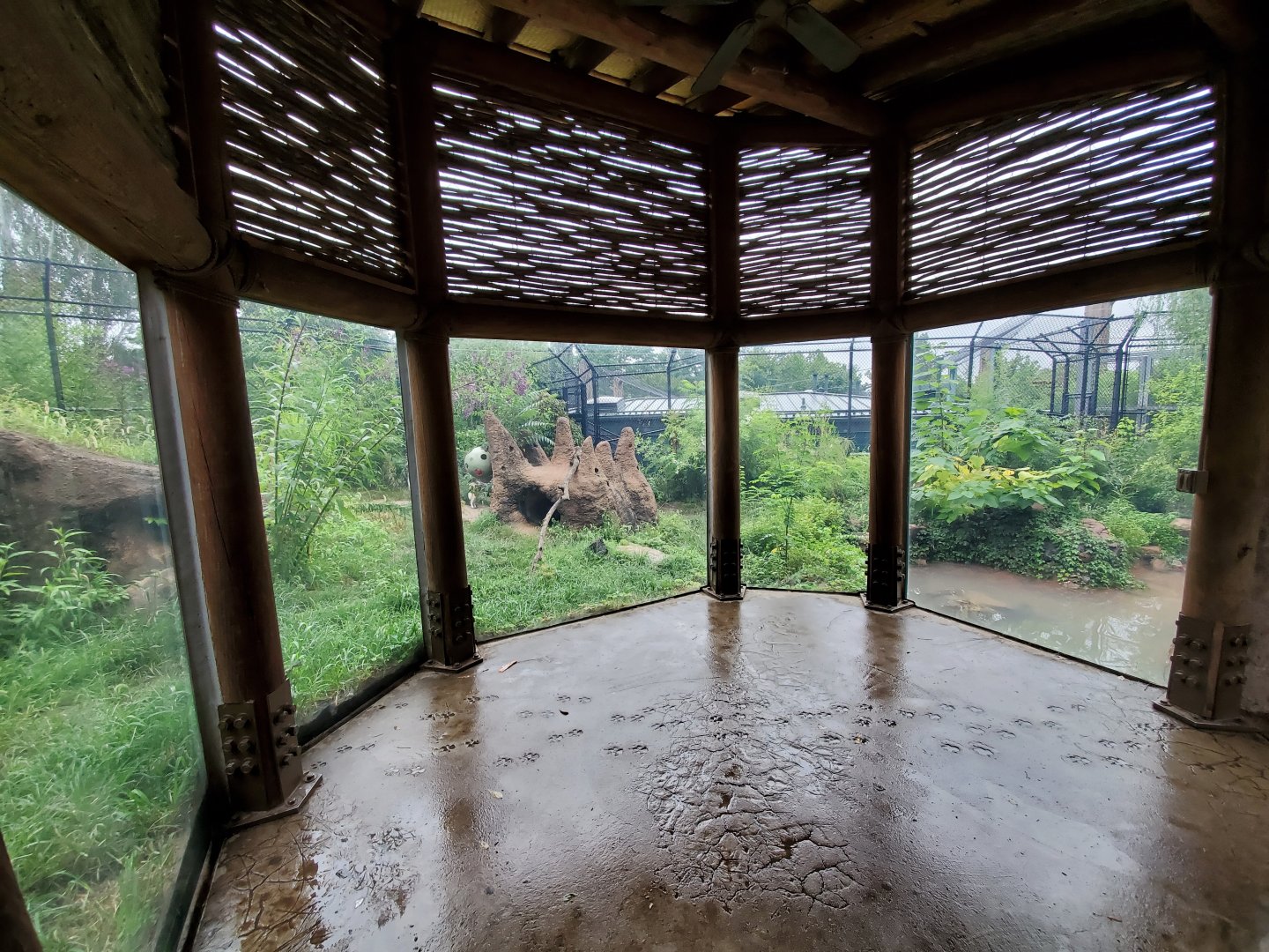 Aug. 2019 - River's Edge - Africa - Painted Dog Preserve