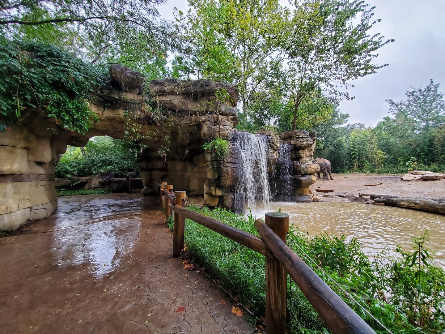 Aug. 2019 - River's Edge - Asia - Elephant Springs