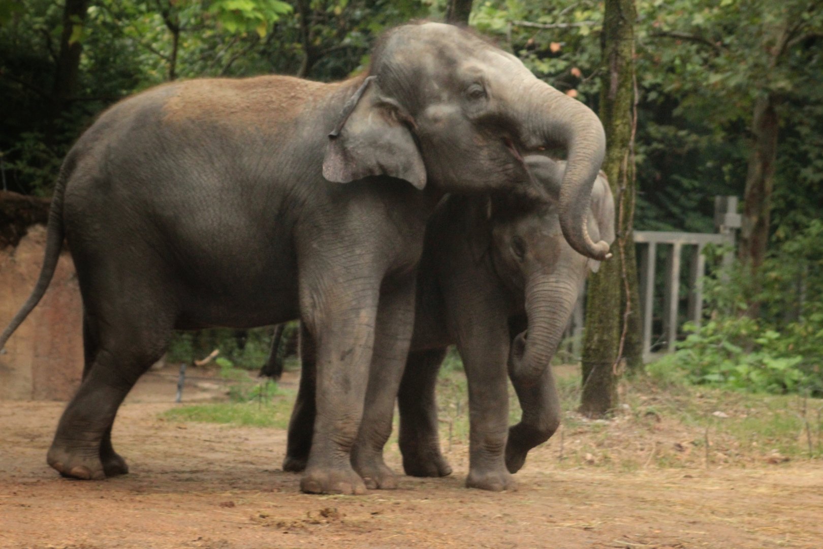 Aug. 2019 - River's Edge - Asia - Jade & Priya