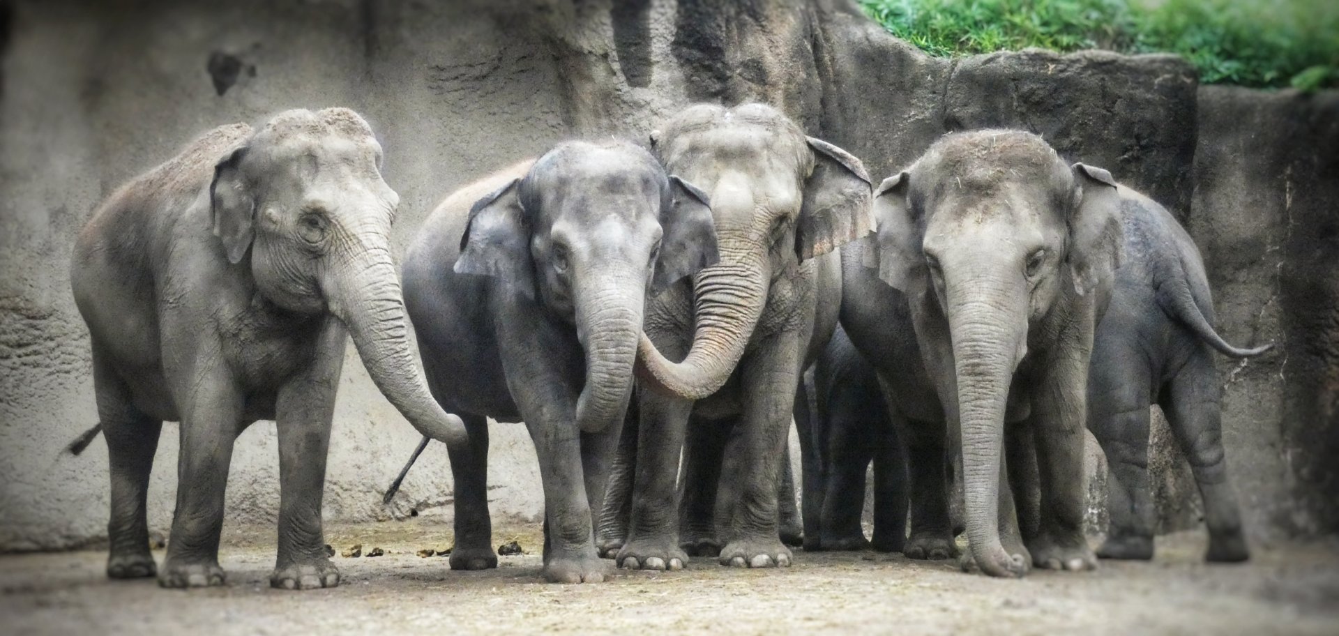 Aug. 2019 - River's Edge - Asia - Pearl, Maliha, Donna, Rani, Priya, & Jade