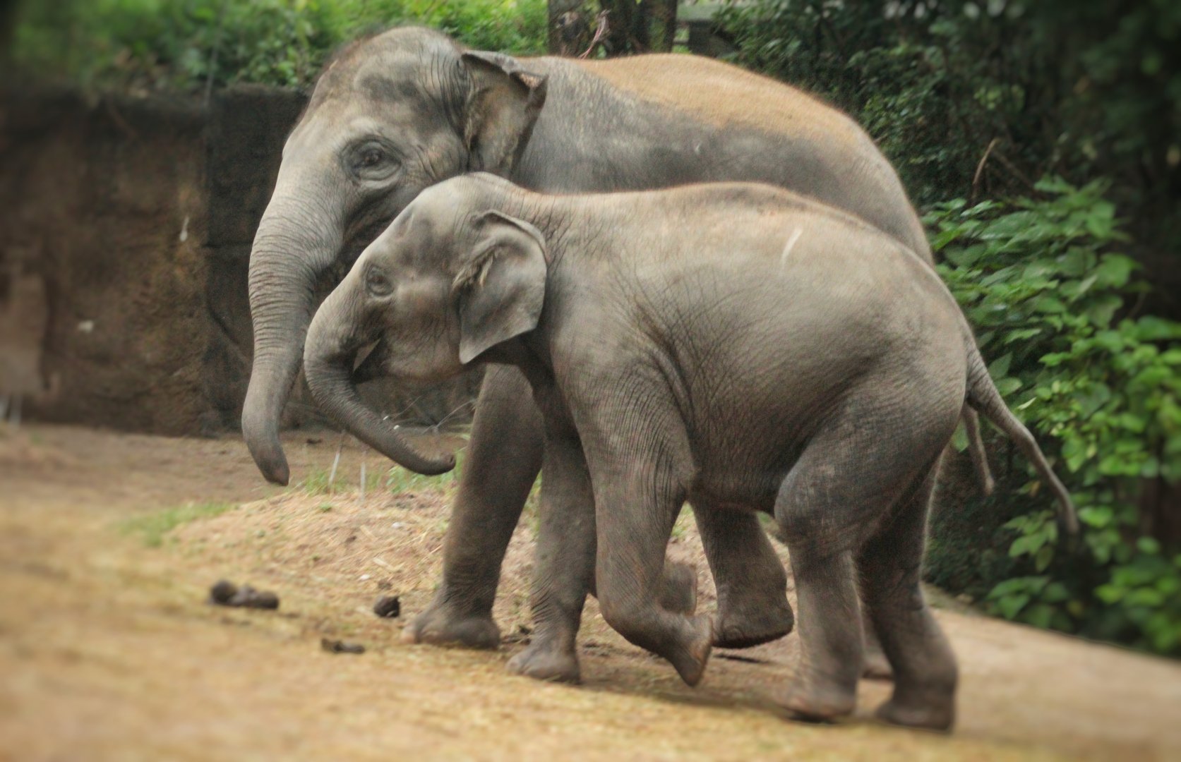 Aug. 2019 - River's Edge - Asia - Priya & Jade