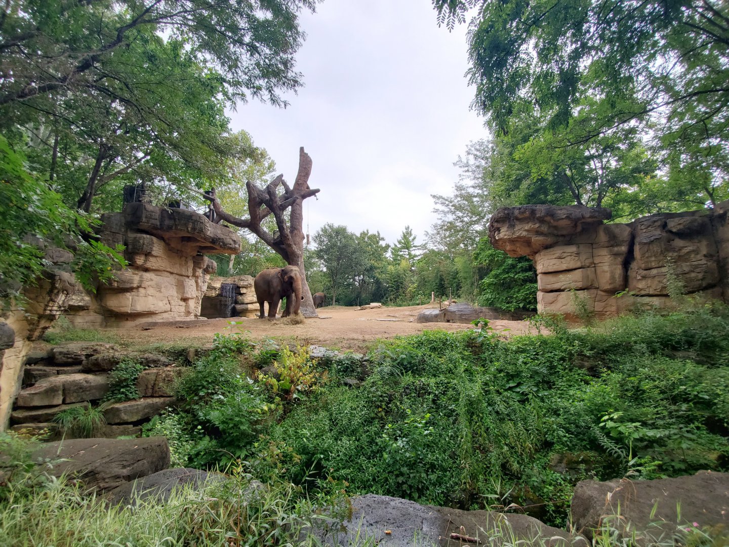 Aug. 2019 - River's Edge - Asia - Third Elephant Exhibit