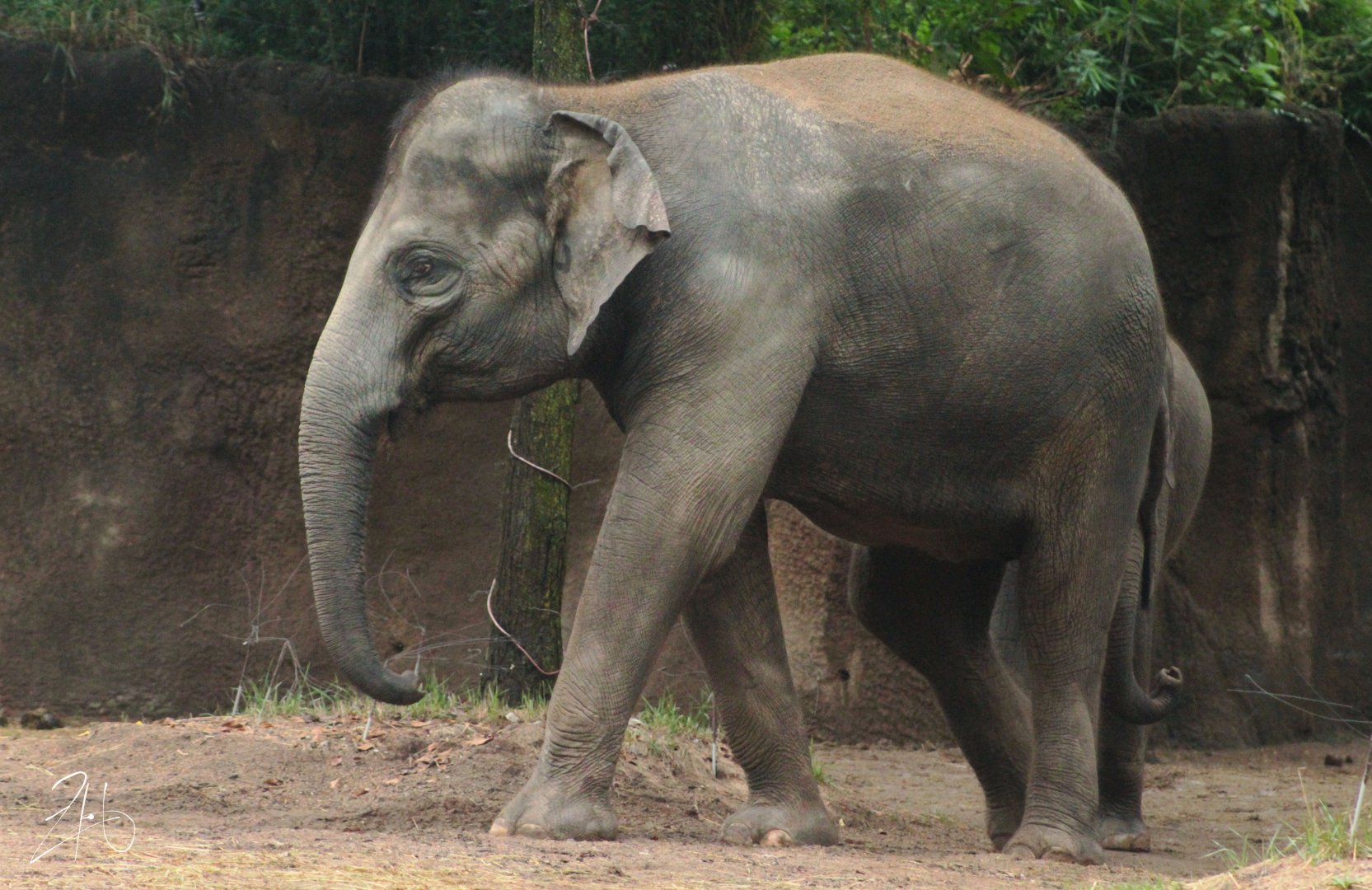 Aug. 2019 - River's Edge - Jade